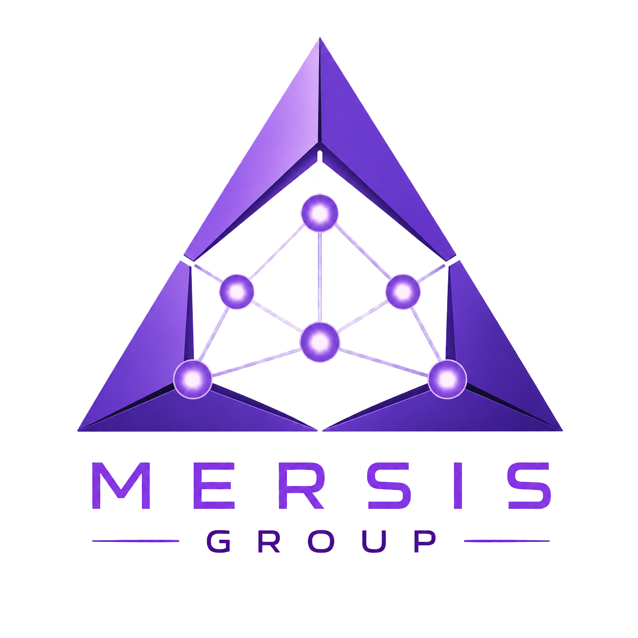 MERSIS GROUP