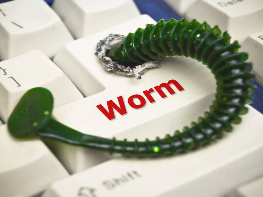 Что такое компьютерный вирус-червь